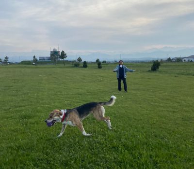 4c76a5ad-8bb3-44f0-b90b-52377ed0e690