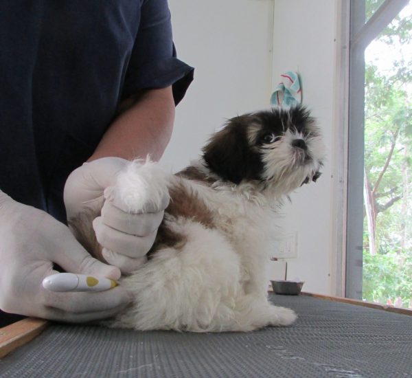 Preventative measures