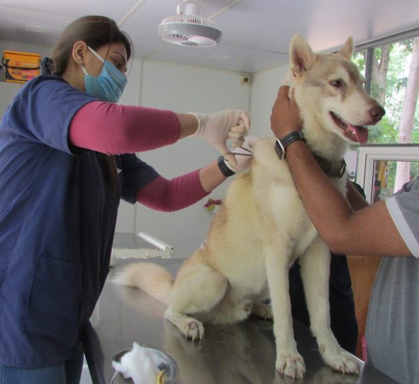 Regular health check ups