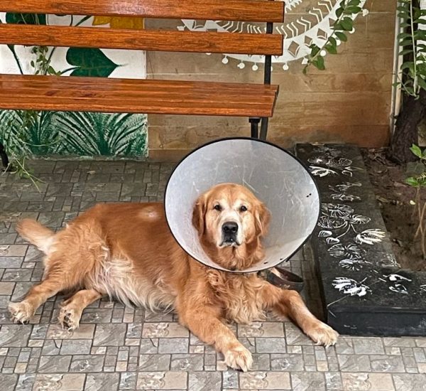 def5faf5-1e7b-4487-b6bf-aeaddbc12177