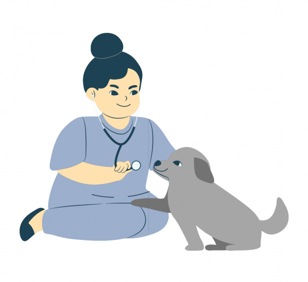 healthydog